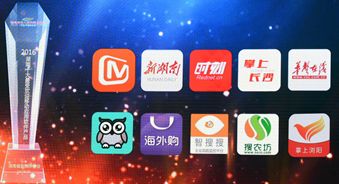 大瀚榮獲2016年度湖南十大最受歡迎移動應(yīng)用軟件產(chǎn)品
